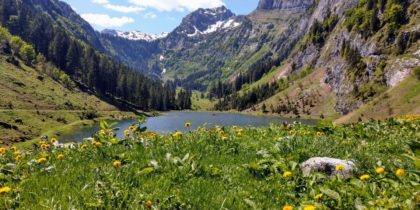 Talalpsee