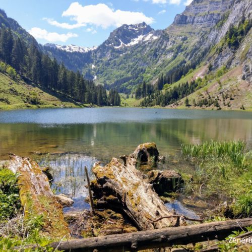 Talalpsee mit Schijenstock (Mitte)