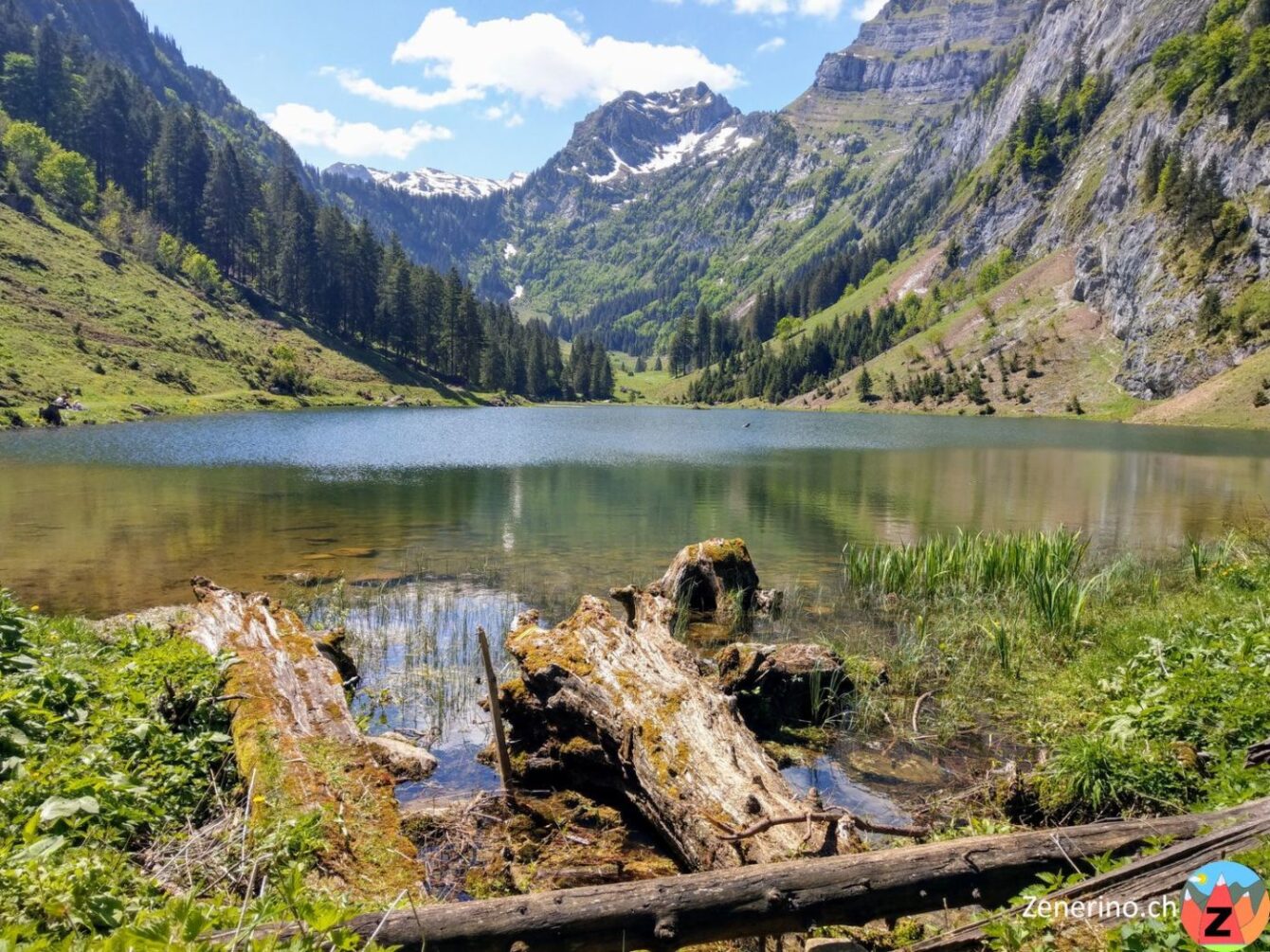 Talalpsee mit Schijenstock (Mitte)