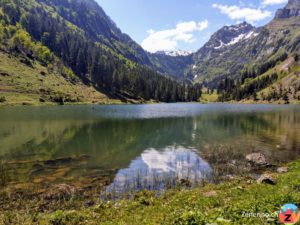 Talalpsee