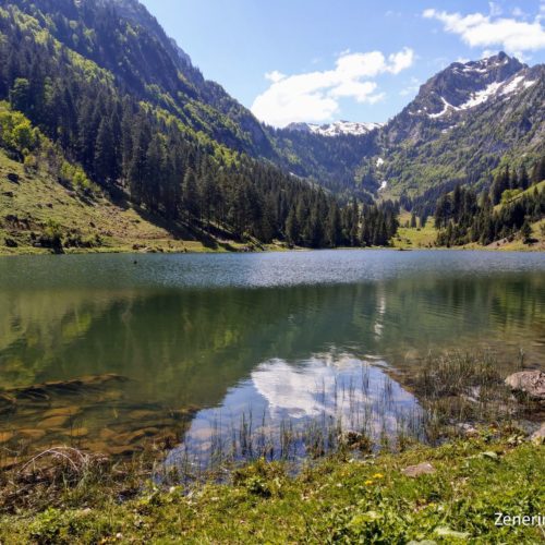 Talalpsee