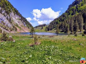 Talalpsee