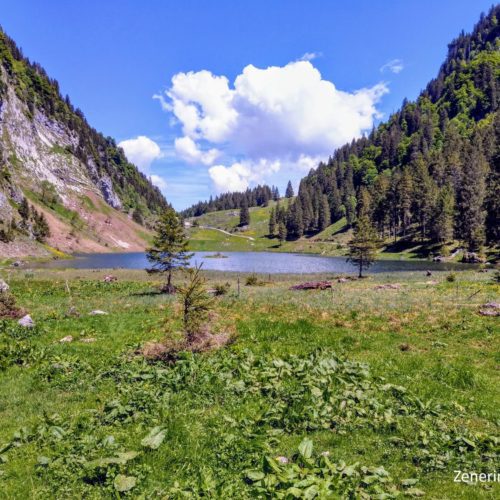 Talalpsee