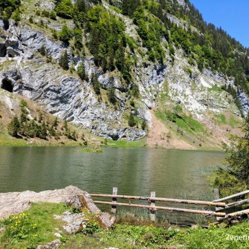 Talalpsee