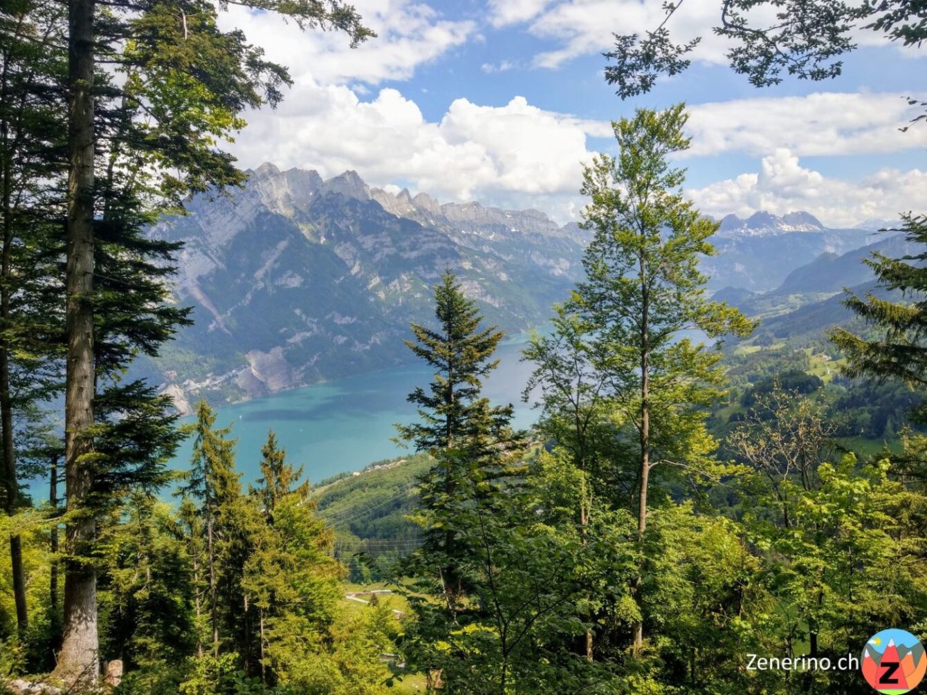 Walensee und Churfirsten