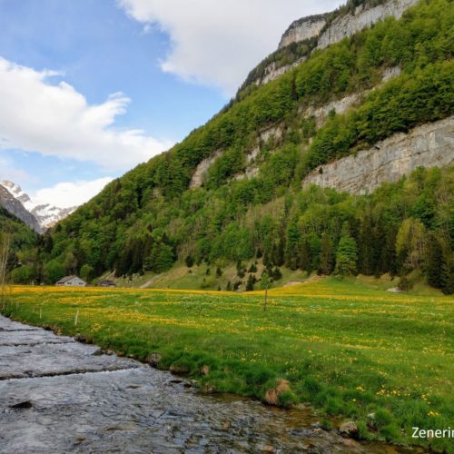 Wasserauen