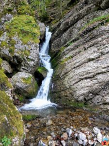 Schlucht im Hüttentobel