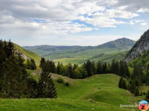 Blick ins Appenzellerland (Schwendi)