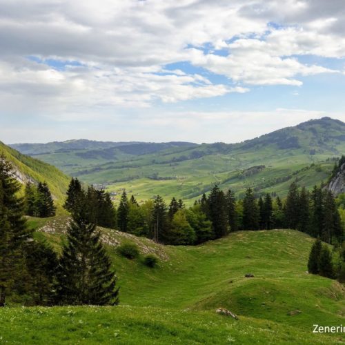 Blick ins Appenzellerland (Schwendi)