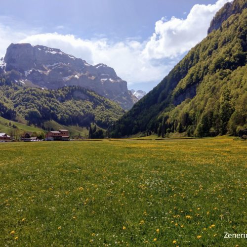 Wasserauen