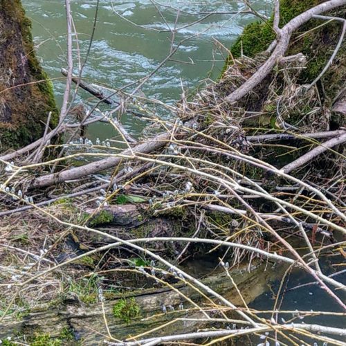 Le Doubs