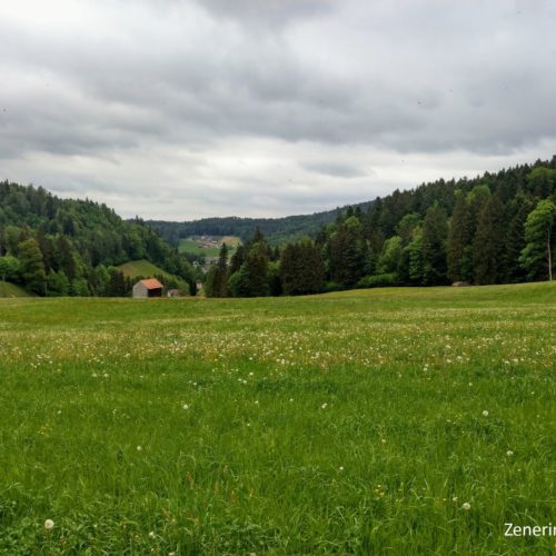 Ottenegg - Aussicht Richtung Rotbühl