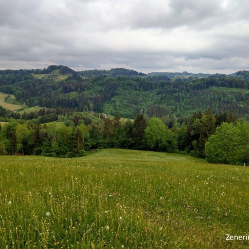 Ausblick Ottenegg