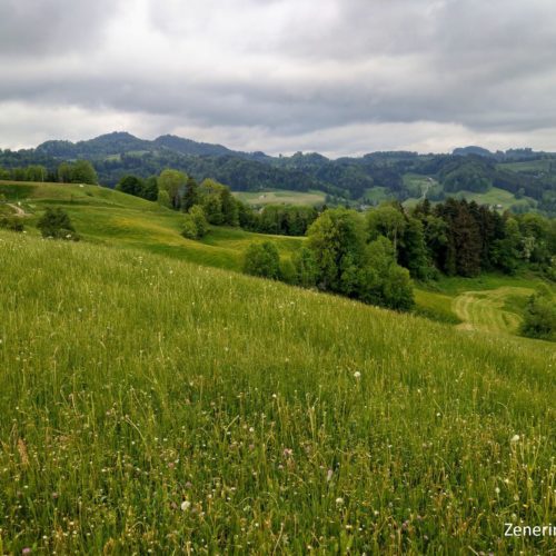 Ausblick Ottenegg: Hörnli Turn