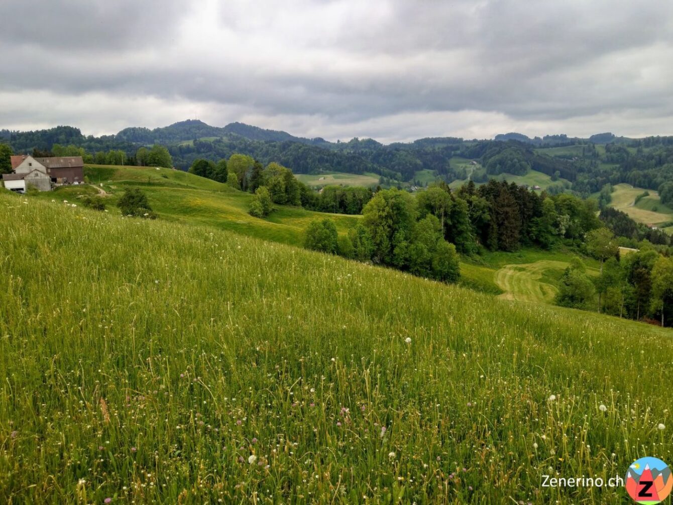 Ausblick Ottenegg: Hörnli Turn