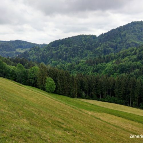 Ausblick St. Iddaburg (rechts)