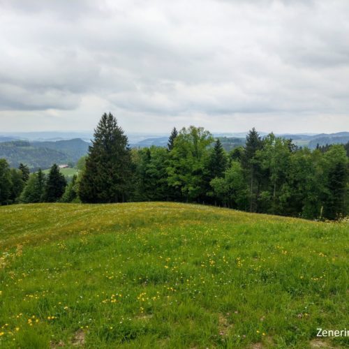 Weg nach Hollenstein