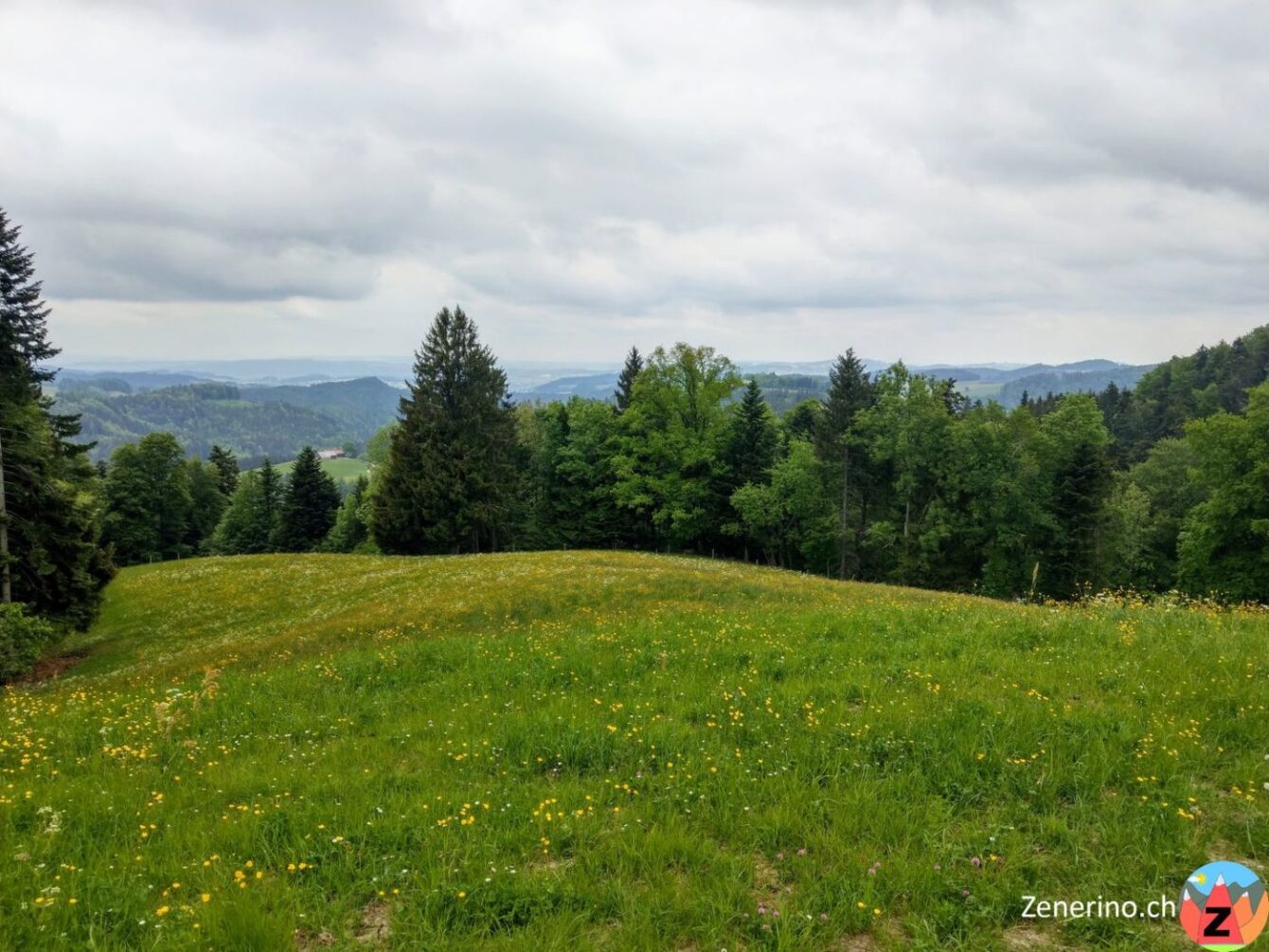 Weg nach Hollenstein