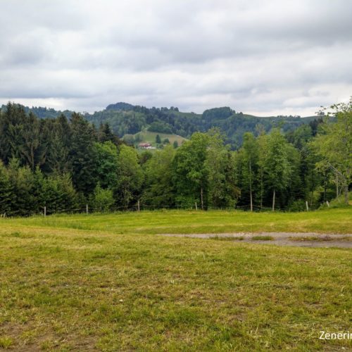 Weg nach Hollenstein