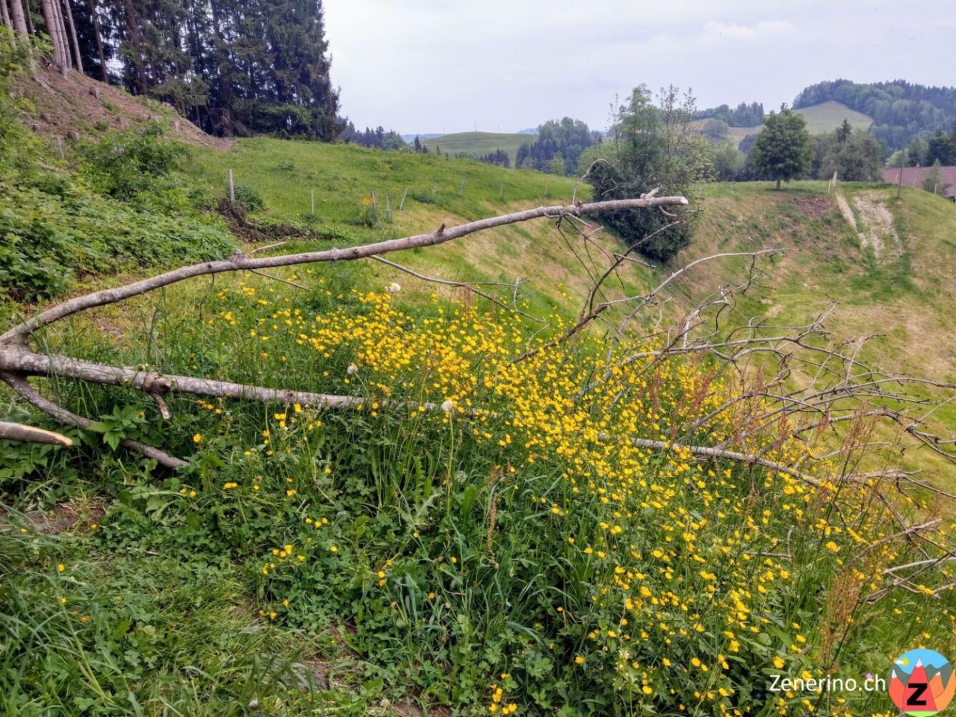 Weg oberhalb des Kreuzhofs