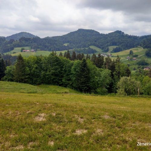 Ausblick Kreuzhof