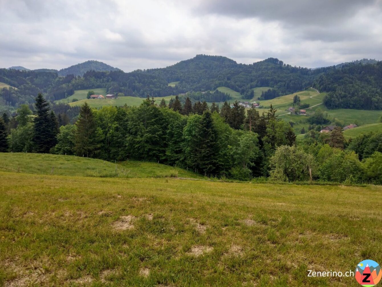 Ausblick Kreuzhof