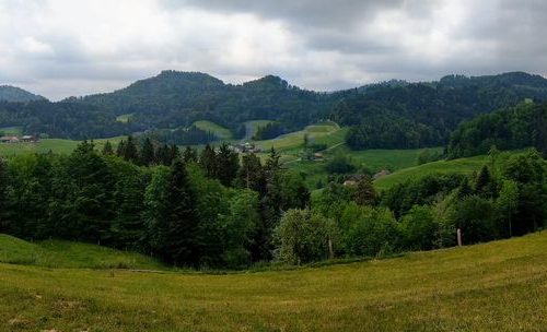 Panorama Tannzapfenweg