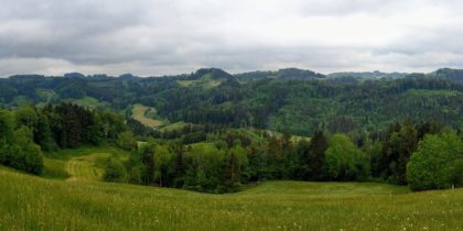 Thurgauer Tannzapfenweg