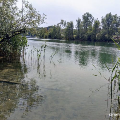 Aare