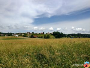 Bannwil