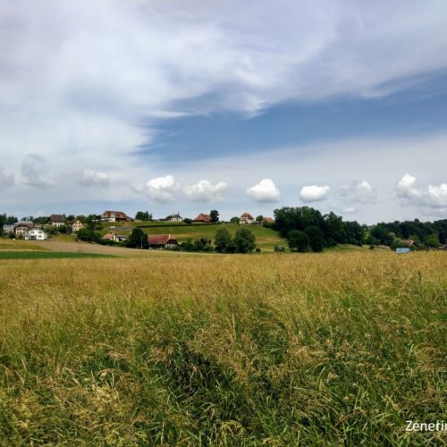 Bannwil