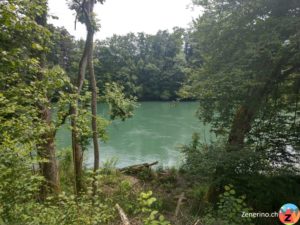 Aare bei Bannwil