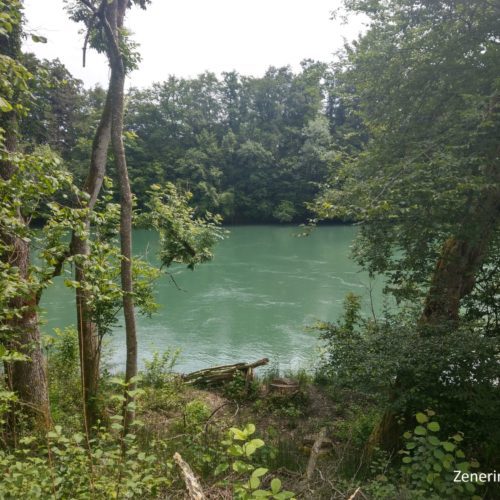 Aare bei Bannwil