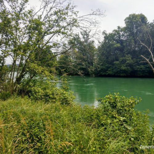 Aare bei Bannwil