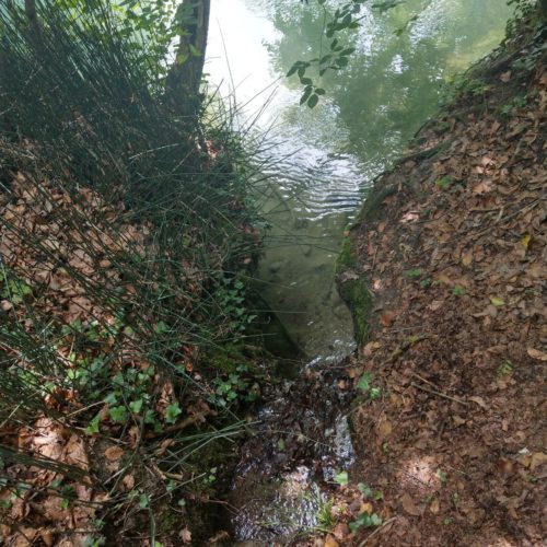 Bächli an der Aare