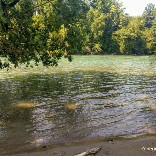 Aare bei Wynau