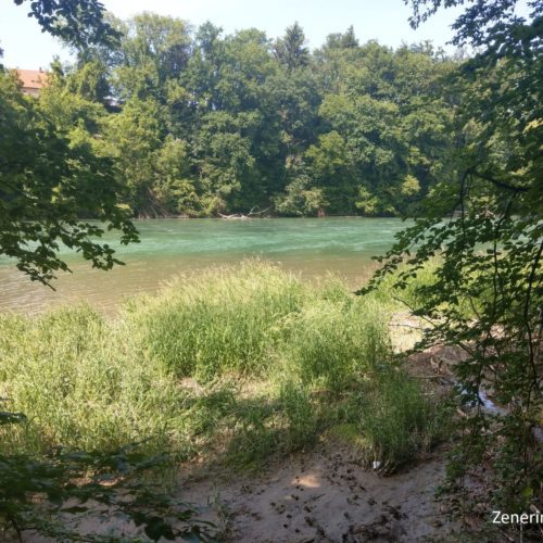 Aare bei Murgenthal