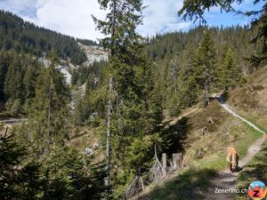 Runca Höhe - Laax (Stretg)