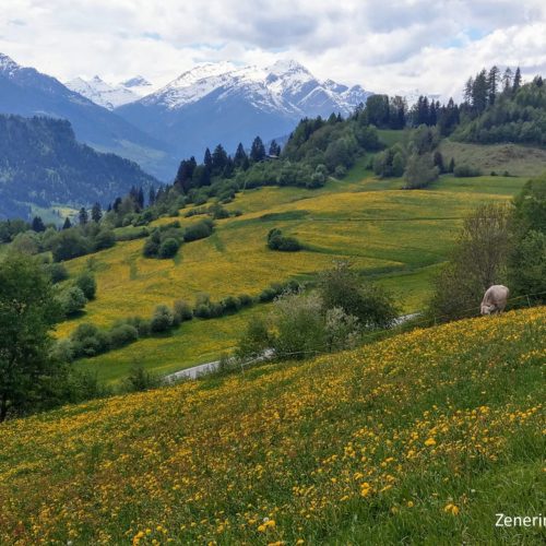 Falera und Blick ins Valsertal