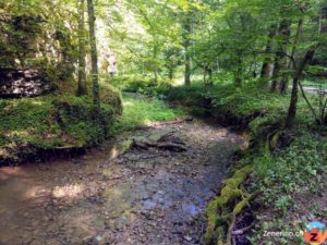Chrintelbach im Stierengraben
