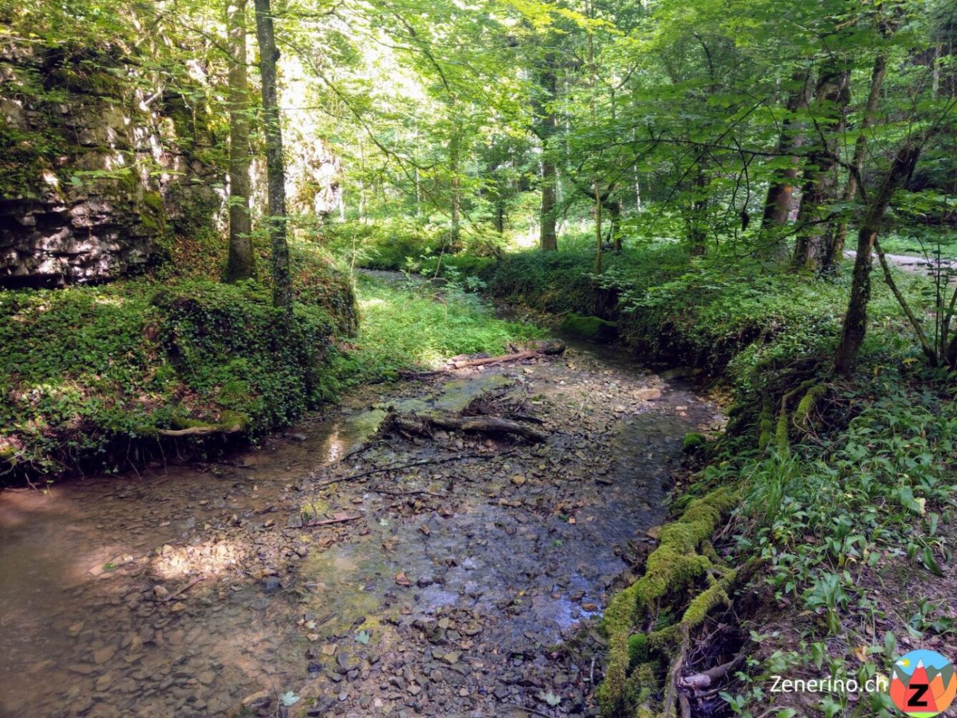 Chrintelbach im Stierengraben