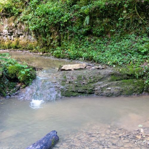 Chrintelbach im Stierengraben