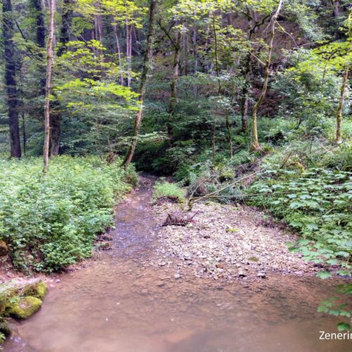 Chrintelbach im Stierengraben