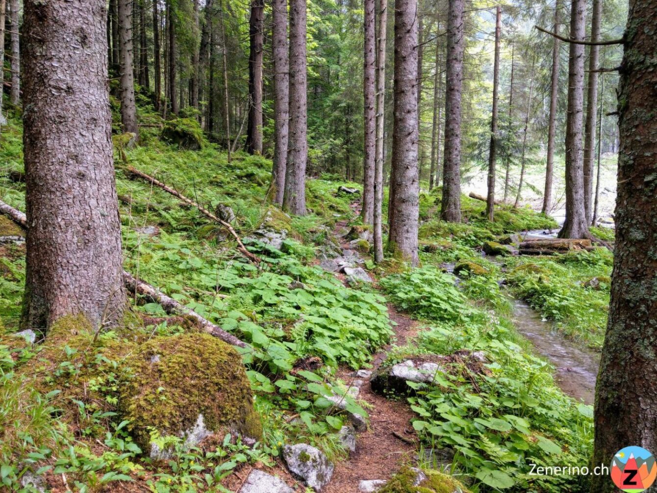 Val Nambrone