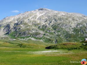 Greinaebene mit Piz Greina