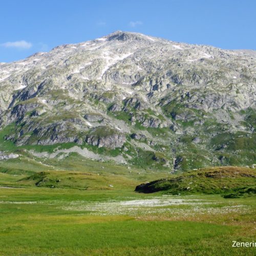 Greinaebene mit Piz Greina