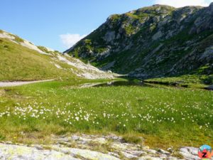 Weg zur Terrihütte