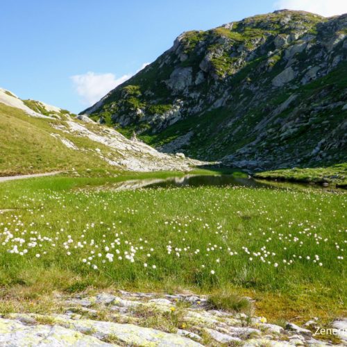 Weg zur Terrihütte