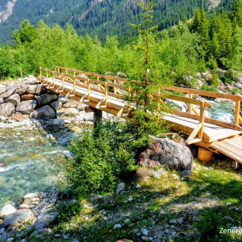 Brücke Alp Val Tenigia