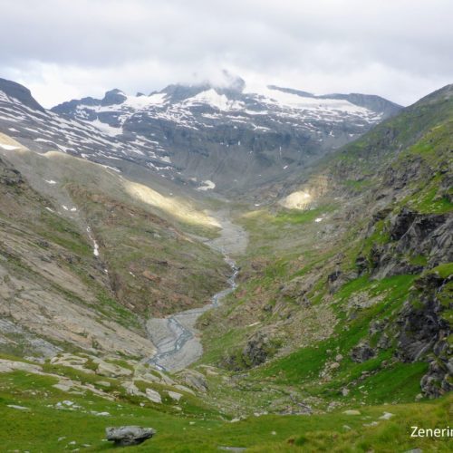 Ursprung und Rheinwaldhorn